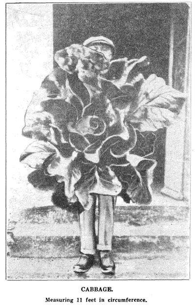 photo_2025-12-06_11-04-04 (4).jpg