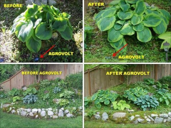 photo_2025-12-06_11-04-04 (7).jpg