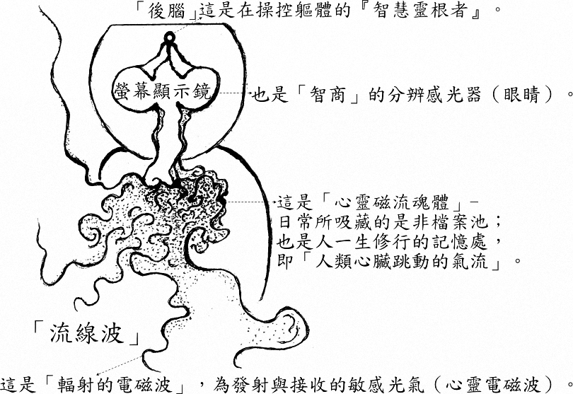 整个人体的构造